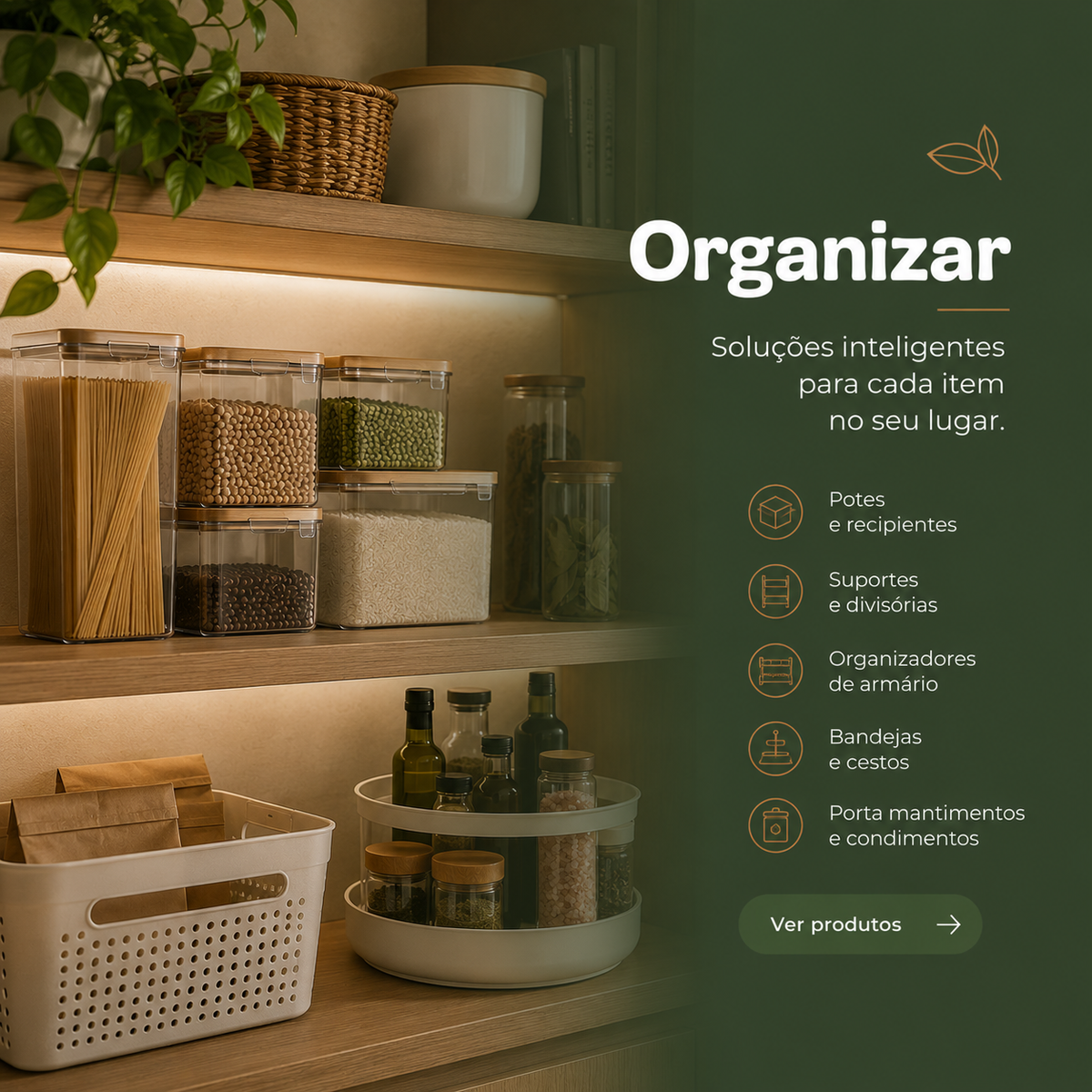 Organizar